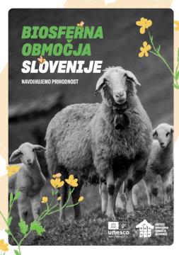 BO zlozenka.png