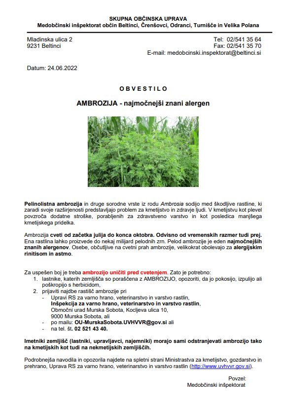 Ambrozija